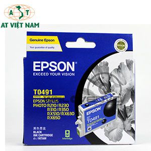 Mực in epson C13T049190-T0491 màu đen                                                                                                                                                                   